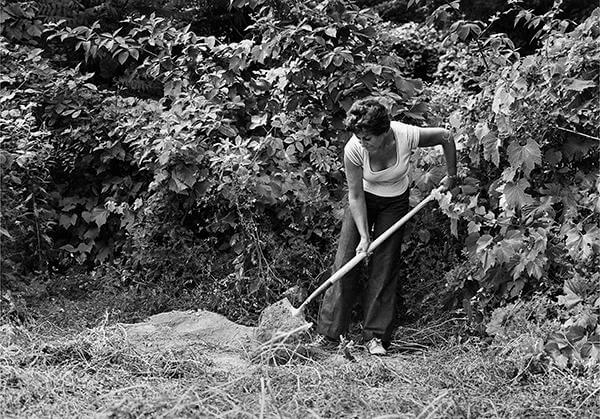 Rice/Tree/Burial. Artpark, Lewiston, new York, 1977-79. Gelatin silver prints courtesy the artist and Leslie Tonkonow Artworks + Projects.