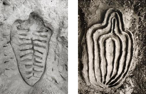 Left: Ana Mendieta, Itiba Cuhababa , 1981  Right: Ana Mendieta, La Vivificación de la Carne , 1982